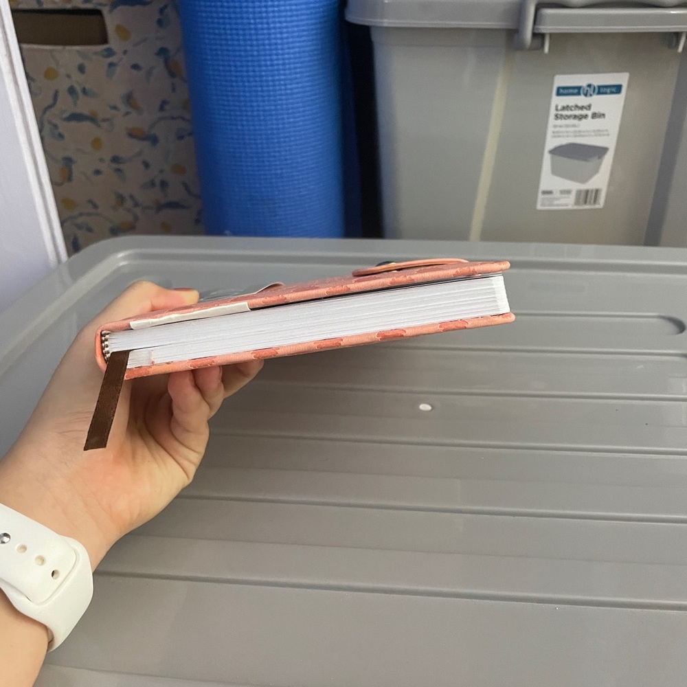 Journal. - Picture 3 of 6